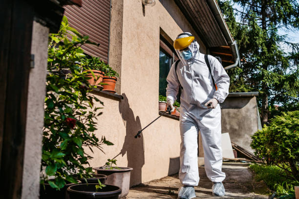 Best Pest Inspection Near Me  in Annandale, NJ