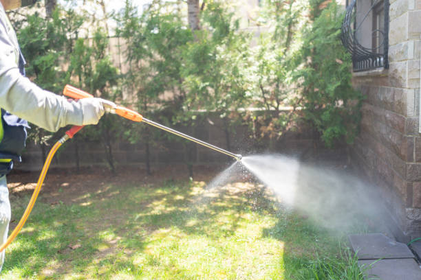 Best Residential Pest Control  in Annandale, NJ